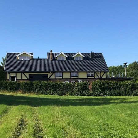 Landhaus Zum Storchennest Kloster Wulfshagen Eksteriør billede